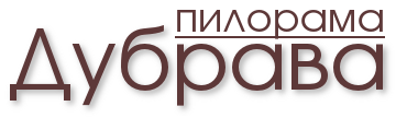 Главная